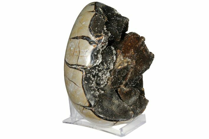Bargain, Septarian Dragon Egg Geode - Black Crystals #123051